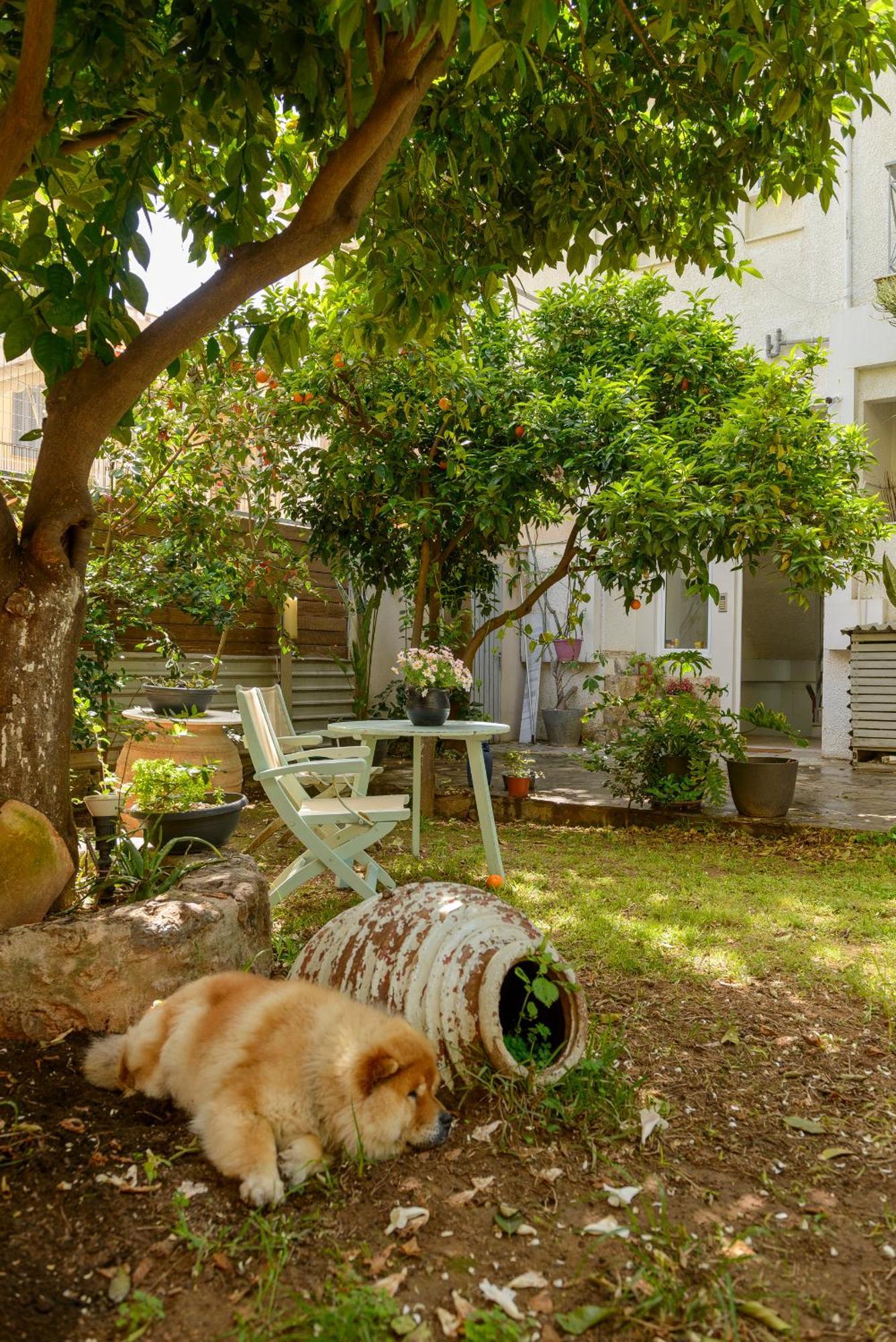Agali 2 Maizonette Front Of The Sea Apartment Akrogiali Exterior foto